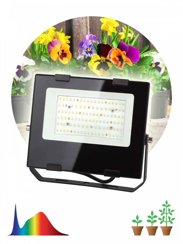 Фитопрожектор для растений светодиодный ЭРА FITO-50W-Ra90-LED для цветения и плодоношения полного спектра 50 Вт